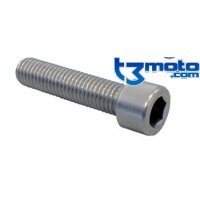 Tornillo M8x120 DIN912 8.8 ZI